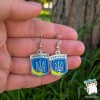 Сережки Шеврон Тризуб. Герб України. Колір срібло